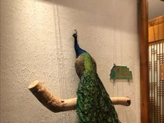 -怀来印象