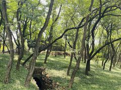 -燕儿岛山公园