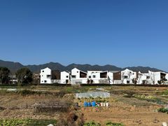 -东梓关景区村庄