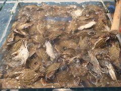 -春华海鲜城(广场西苑店)