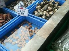 -渡海小渔村.老辈日照菜