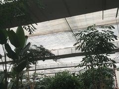 -汤山翠谷生态餐厅
