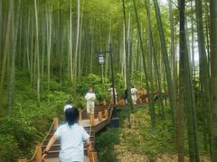 -东明山森林公园
