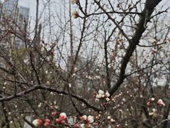 -洋湖国家湿地公园