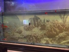 -德全心悦酒店(北京金台路地铁站店)