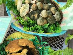 -佳缘野生菌食府