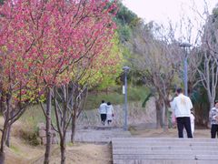 -牛岗山公园