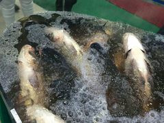 -雪野鱼头大王邢府公老店(雪野湖店)