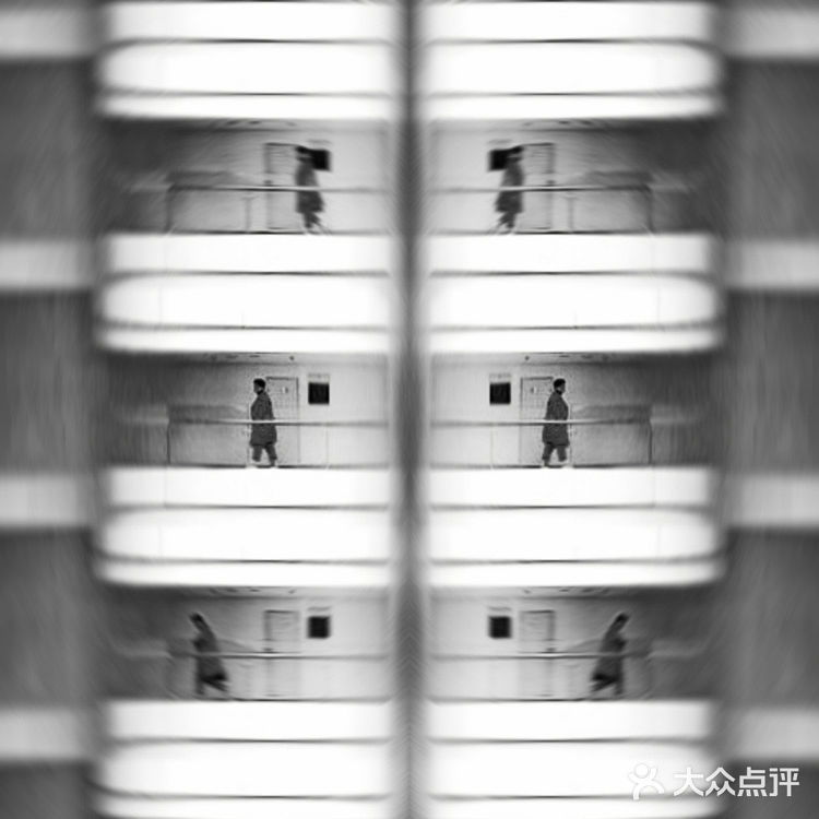 成都拍照| IFS的大熊猫屁屁你还没拍腻嘛?