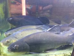 -农家土菜老煨锅(木鱼镇店)