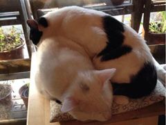 iphone_upload_pic-MIKAKU(万达广场上海宝山店)