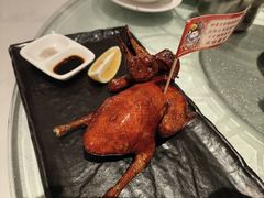 -常来小聚·广州非遗传承餐厅(高德置地店)