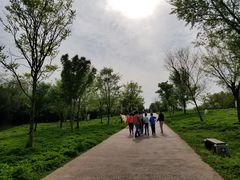 -盘龙城国家考古遗址公园