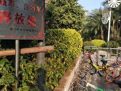 -江头公园