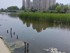 -前关湿地公园