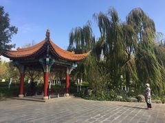 -洛龙公园
