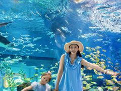 -海合安武汉极地海洋公园