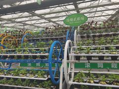 -兰陵国家农业公园