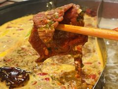 -朱光玉火锅馆(正弘城店)