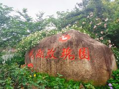 -鹅湖玫瑰文化园