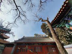 -贤良祠
