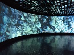 -同济大学四平路校区深海探索馆