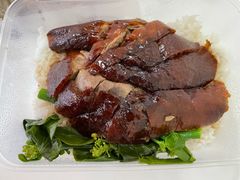 -沙田新强记烧鹅海鲜酒家