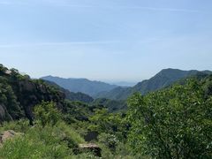 -大岭沟猕猴桃谷风景区