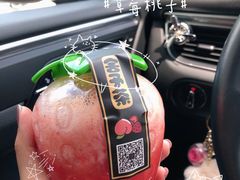 -舍予茶(桂林路店)