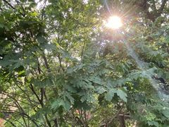 -天津盘山风景名胜区