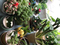 -花里花店(唐镇阳光天地店)