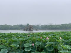 -大兴滨河森林公园