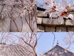 -三里河公园