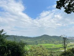 -风云岭森林公园