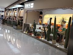-塔哈尔·新疆盛宴(复地活力城店)