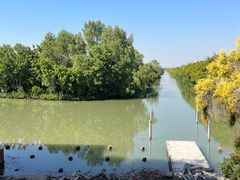 -南沙十九涌渔人码头-南门