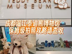-成都泰迪熊博物馆