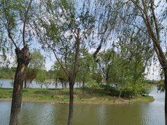-东郊湿地公园