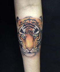 -木子·纹身店TATTOO穿孔·洗纹身