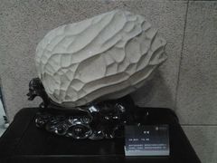 android_upload_pic-中华赏石园