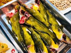 -屯老二农家铁锅炖·行业领军者(梅江店)