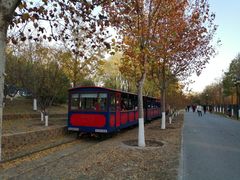 -永定河休闲森林公园