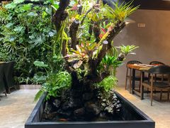 -森味薪火烧•烧鸟居酒屋•日本料理(望京店)