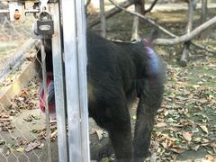 -哈尔滨北方森林动物园