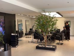 点击看大图 -付军剪艺JF ProSalon