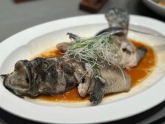 -紫阳海鲜楼·传承闽味(长乐路总店)