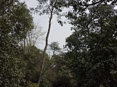 -小格里自然风景区