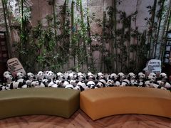 -汤W城市微度假(仓山店)