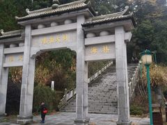 -长沙黑麋峰国家森林公园