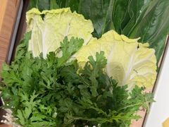 -蝎王府羊蝎子(西直门店)